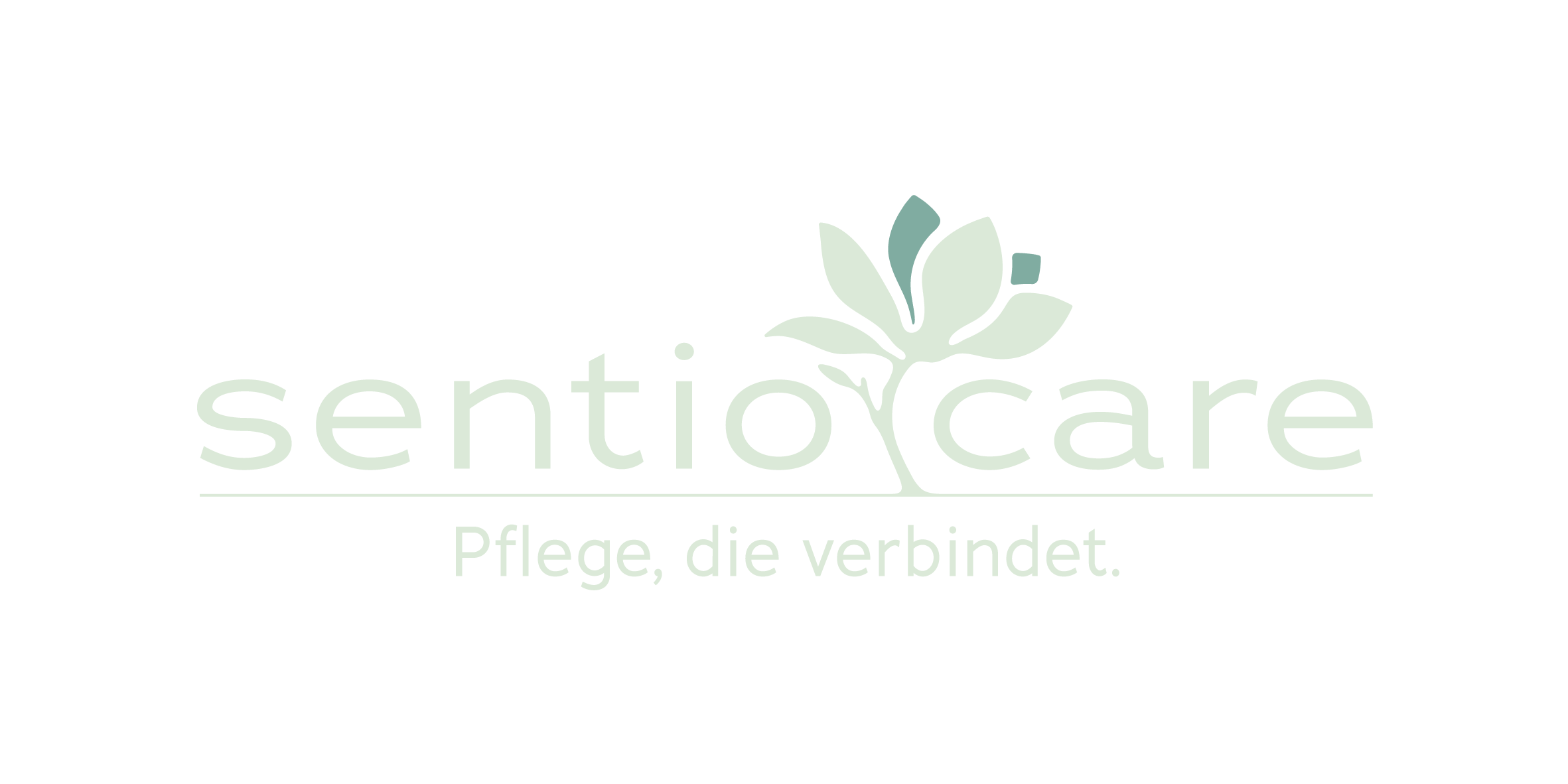 sc logo 01 3